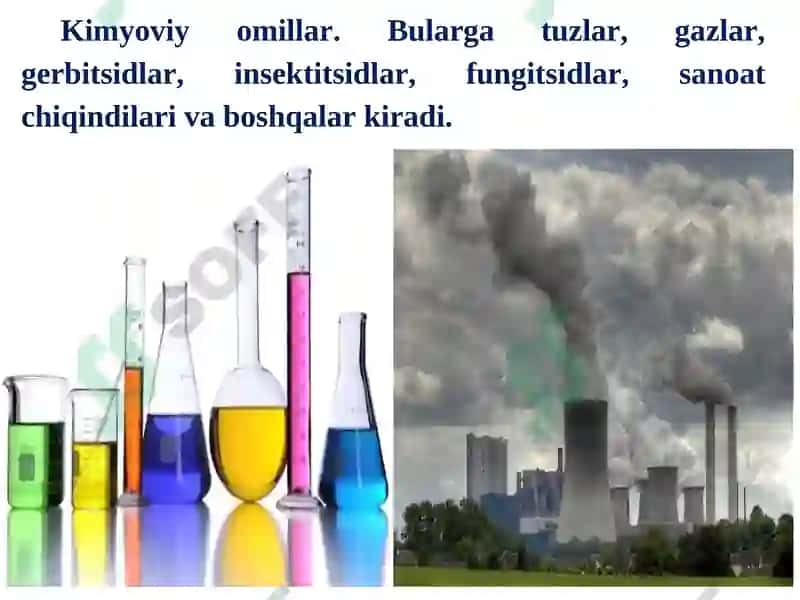 O'simliklar chidamliligi va himoyalanish fiziologiyasi 6