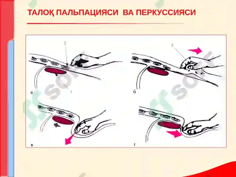 КОН ТИЗИМИ КАСАЛЛИКЛАРИ БИЛАН КАСАЛЛАНГАН БЕМОРЛАРНИ ТЕКШИРИШ 6