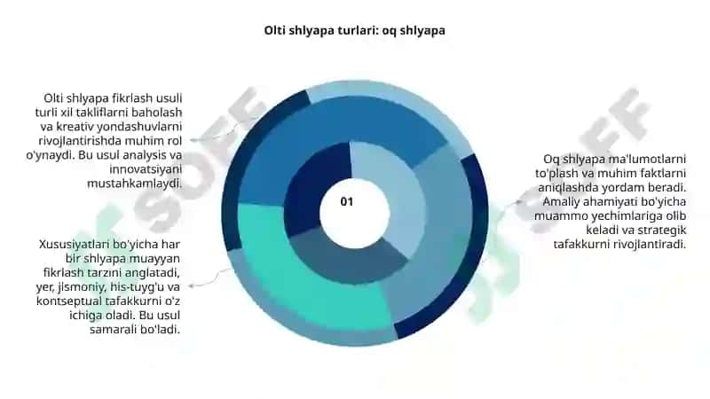 Olti shlyapa fikrlash usuli 6