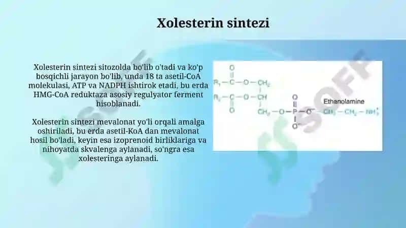 Fosfolipid va steroid metabolizmi 6