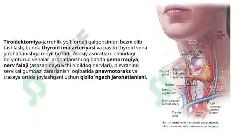 BO’YINNING CHUQUR TUZILMALARI 6