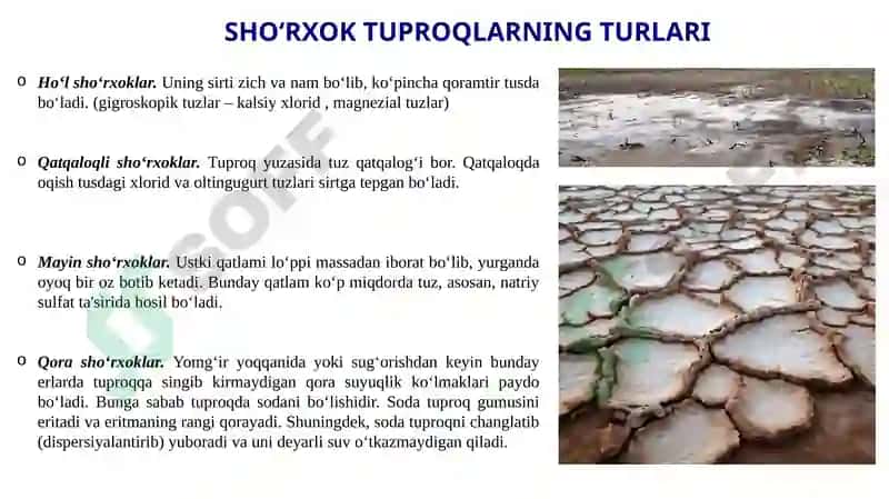 Sho‘rtob va sho‘rxok tuproqlar va ular tarkibidagi tuzlar 6