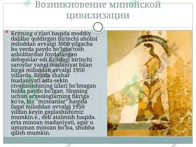 Shliman va Evans faoliyati 6