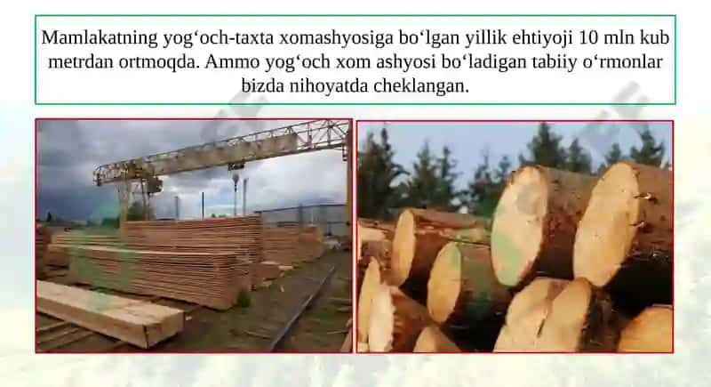 11-dars Mavzusi - Yog‘ochni Qayta Ishlash Sanoati 6