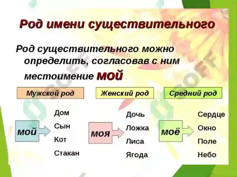 Части речи 6