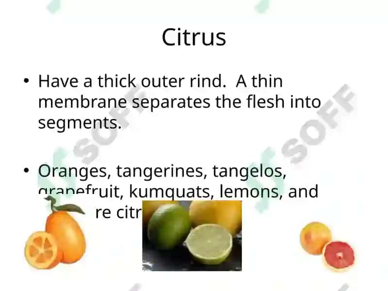 Fruit Classifications 6
