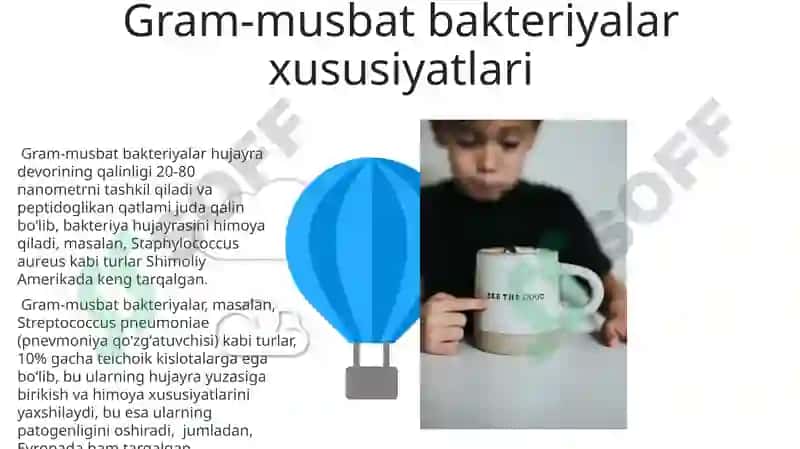 Gramm bo'yash usuli 6