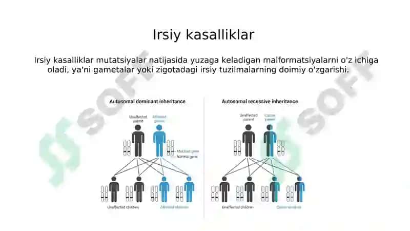 Bosh miyya va orqa miyya tug'ma rivojlanish nuqsonlari 6