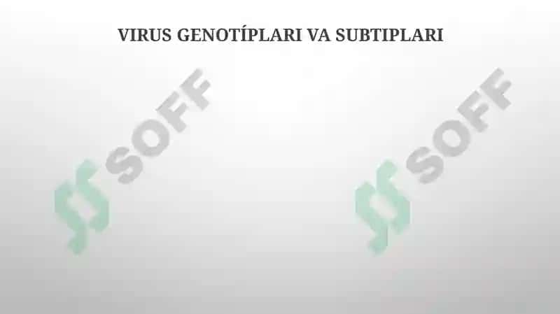 Virusli gepatit C 6