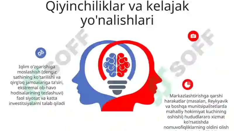 Islandia boshqaruv tizimi va menejment 6