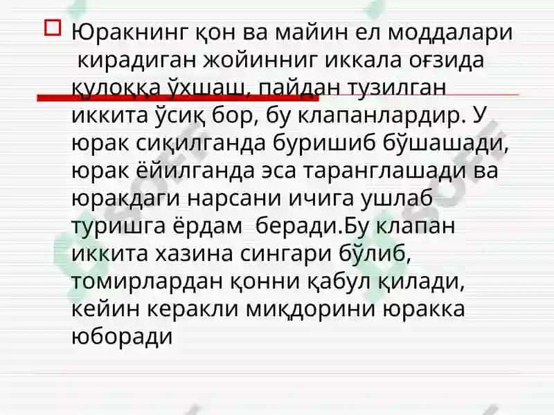 ЮРАК АНАТОМИЯСИ ВА НАБЗНИНГҲОСИЛМЕХАНИЗМИ 6
