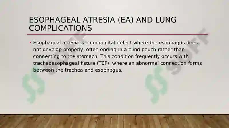 Lung Pathology 6