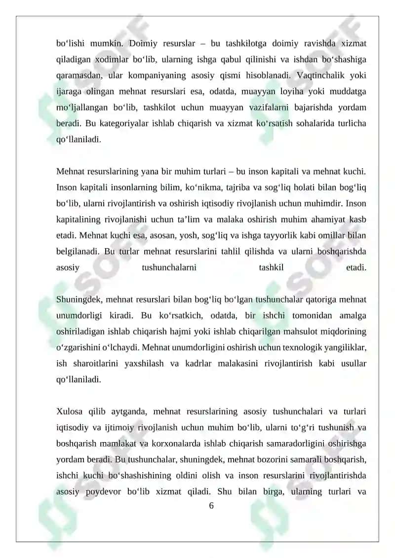 Mehnat Bozori va Korxonalarda Mehnat Resurslaridan Foydalanuvchi 6