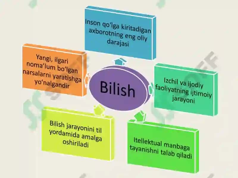 Bilish falsafasi (gnoseologiya) 6