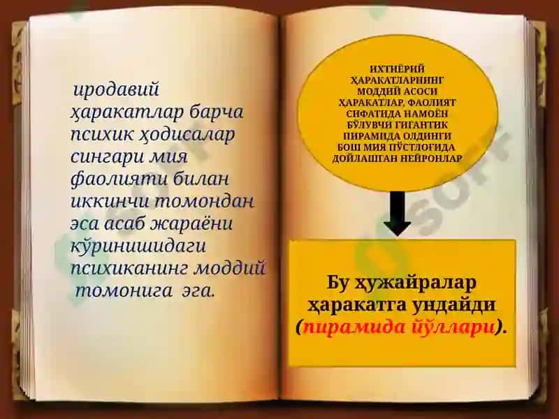 Иродавий жараёнлар ҳақидаги умумий тасаввурлар 6