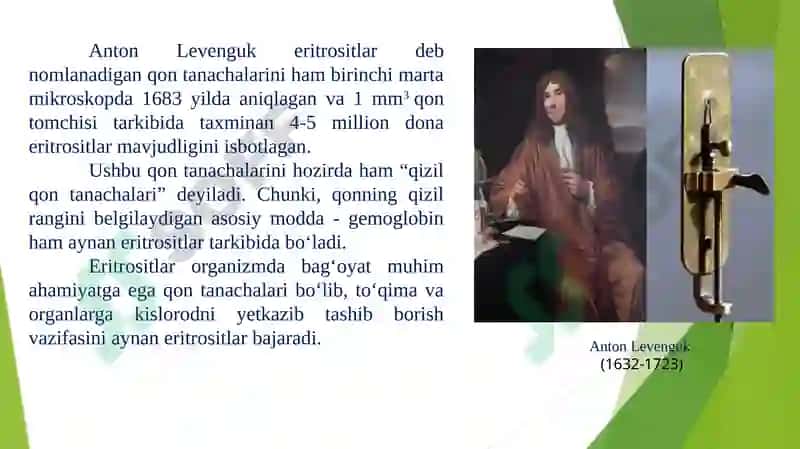 Hujayra organoidlari va ularda boradigan jarayonlar 6