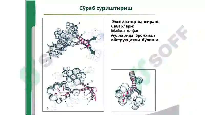Хансираш 6
