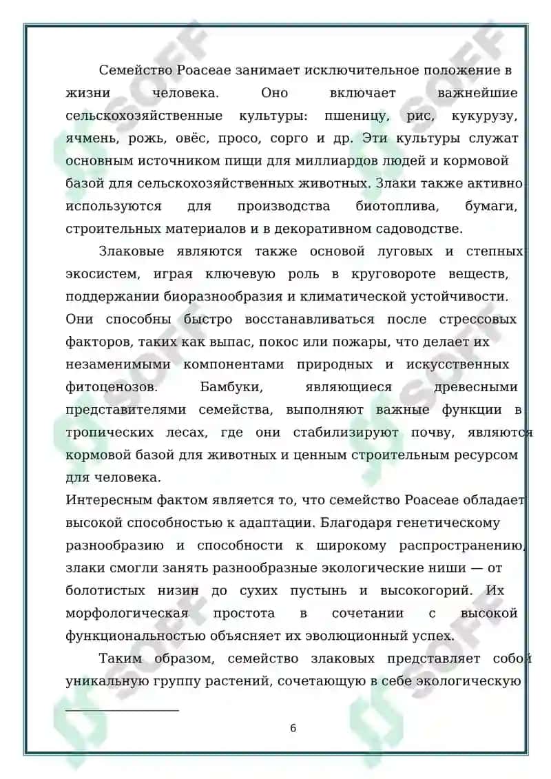 ПРЕДСТАВИТЕЛИ СЕМЕЙСТВА ЗЛАКОВЫХ (POACEAE) ПРОИЗРАСТАЮЩИЕ В ДИКОМ ВИДЕ 6