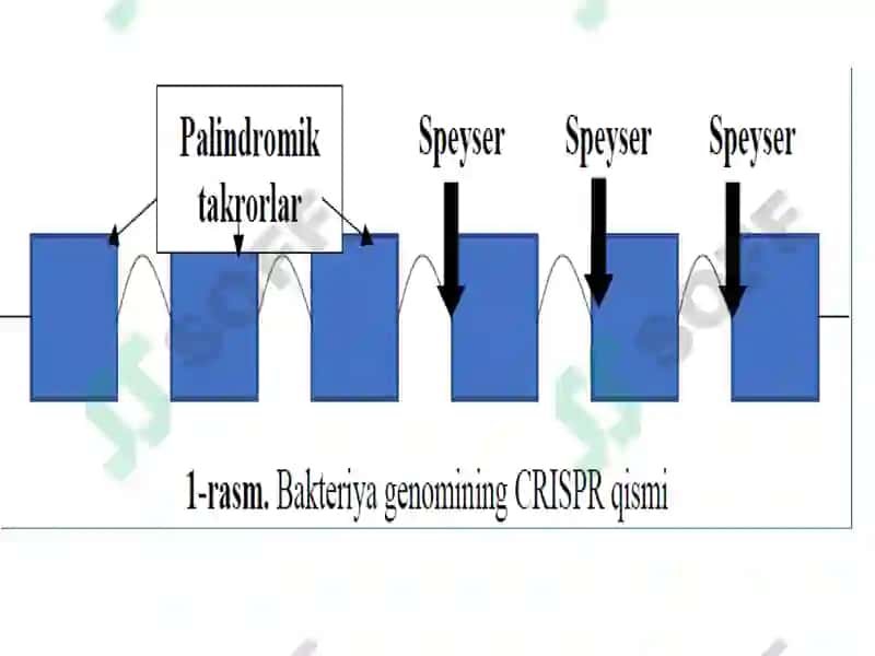 CRISPR/Cas техникасидан фойдаланган ҳолда генларни таҳрирлаш 6