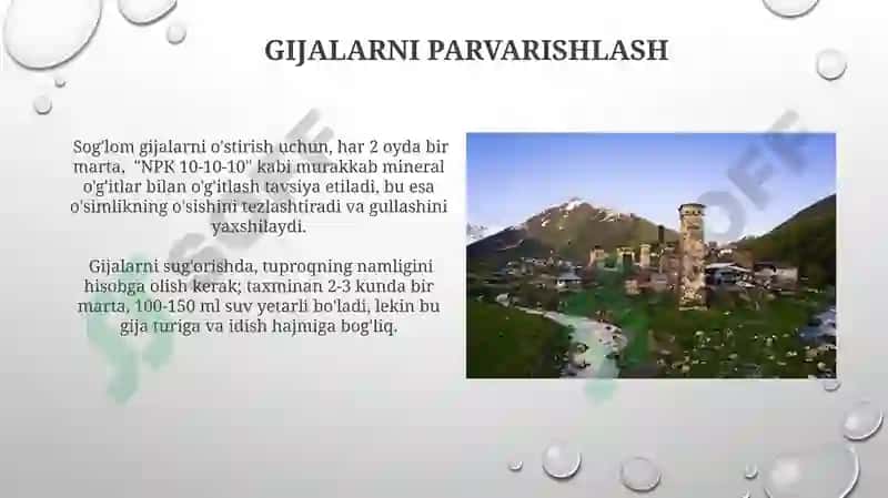 Gijalar 6