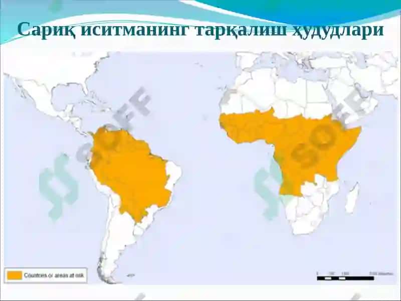 Сариқ иситма 6