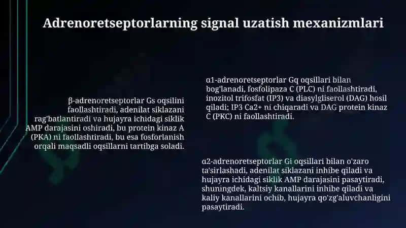 Adrenoretseptorlar 6