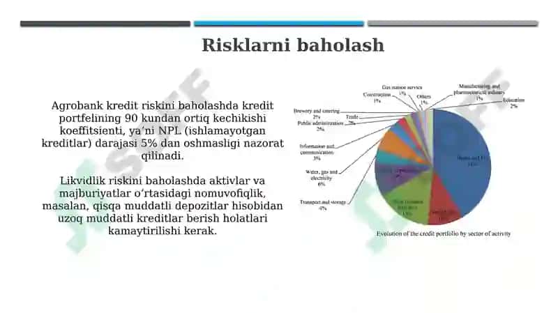 Agrobank (Kredit portfeli,foyda,risklar,raqamli xizmatlar) ma’lumotlarini iqtisodiy tahlil qilish 6