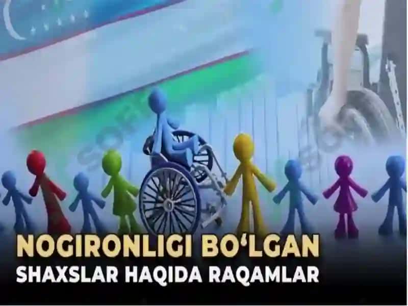 Nogironligi bo‘lgan shaxslarning mehnatini huquqiy jihatdan tartibga solishning o‘ziga xos xususiyatlari 6