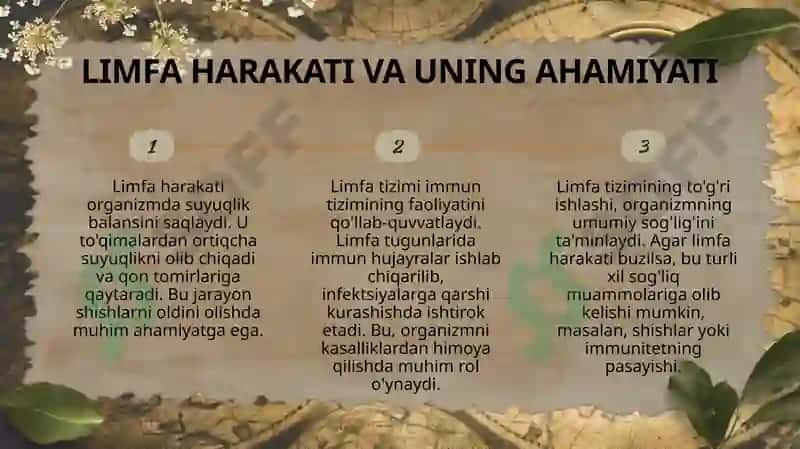 Limfa va uning harakati 6