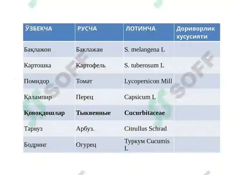 Сабзавот ва полиз доривор ўсимликларнинг рўйхати 6