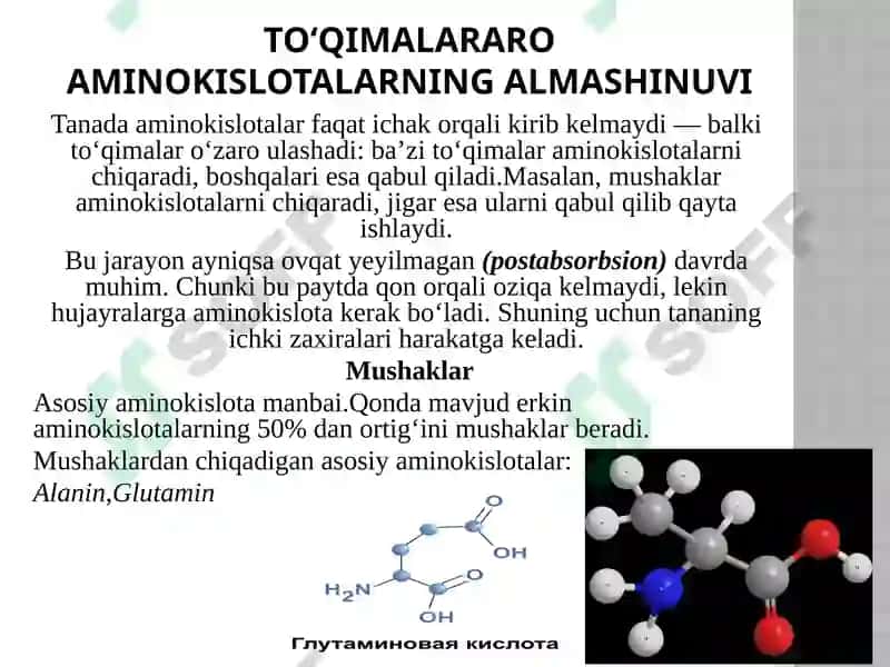 Aminokislotalarning safarbarlanishi 6