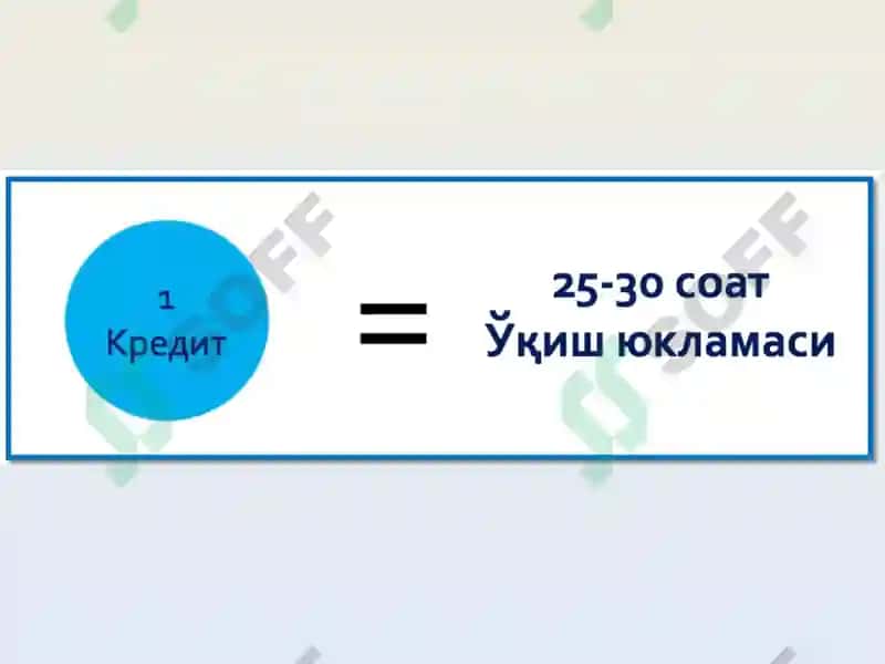 ECTS(European Credit Transfer System) 6