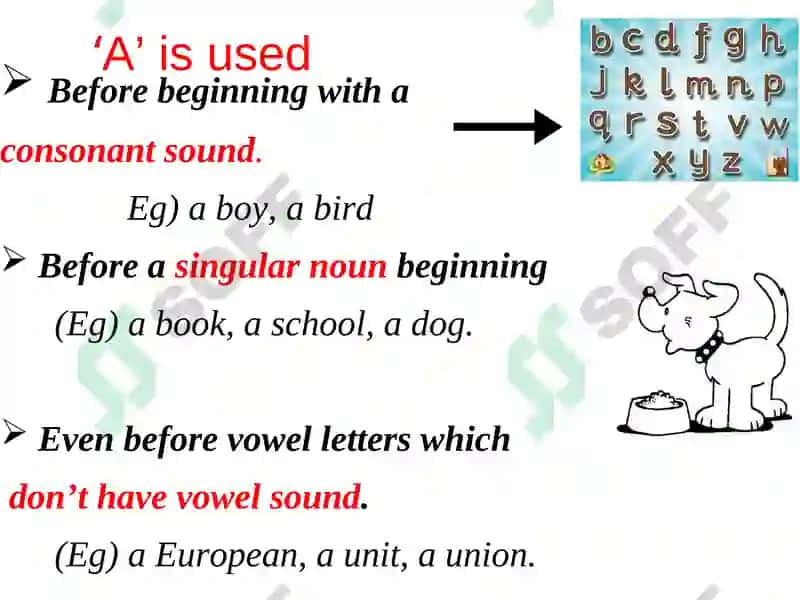 Articles 6
