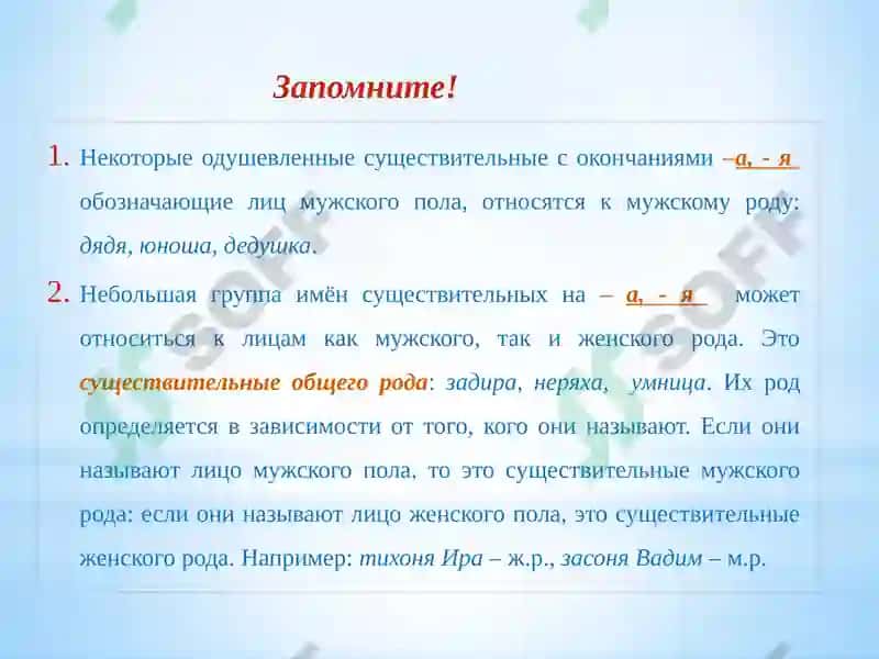 Грамматика 6