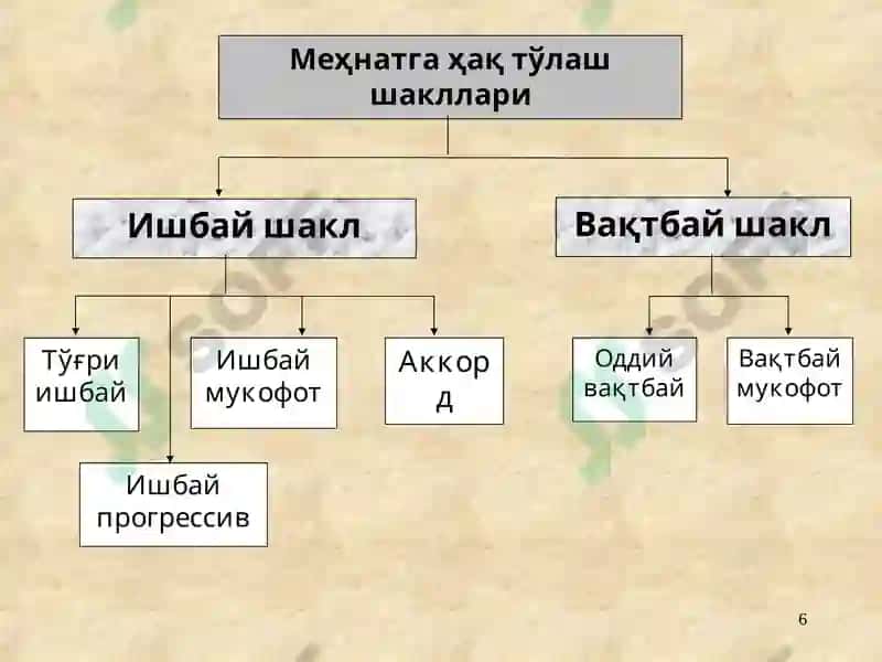 “BASIC ACCOUNTING” FANI 6