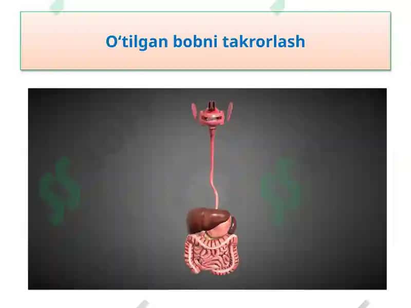 Iqlim 6