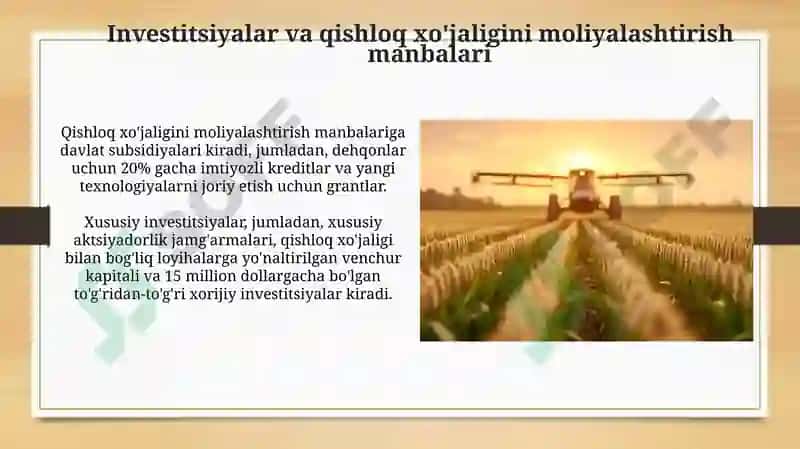 Iqtisodiy tarmoqlarni modernizatsiya Qilish va Qishloq Xo'jaligining Jadal Rivojlanishi 6