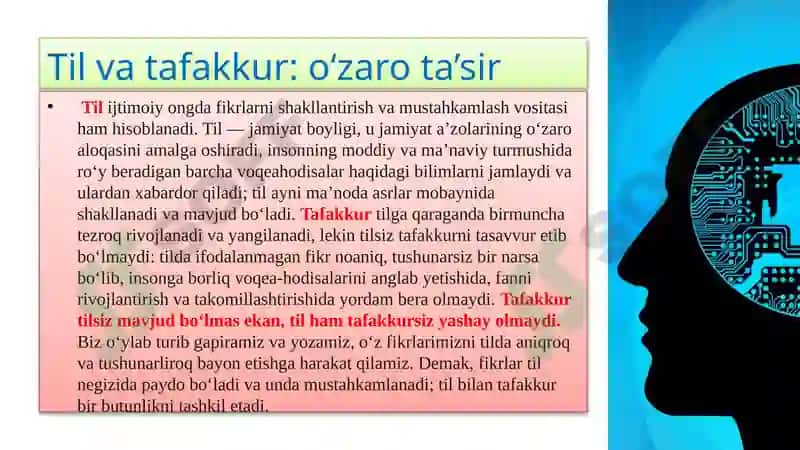 TIL VA TAFAKKUR, LISON VA NUTQ MUNOSABATI 6