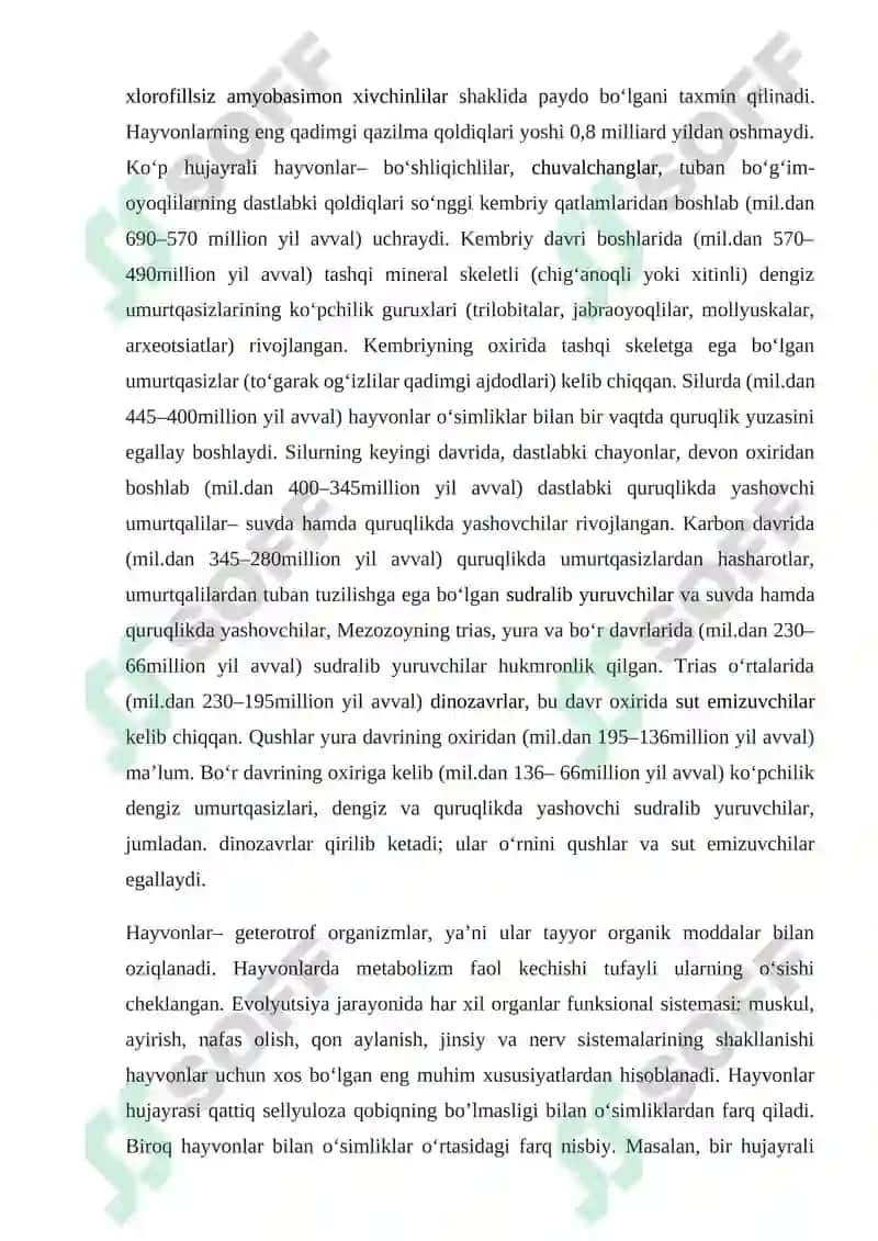 O‘simlik hujayrasi va uning tuzilishi 6
