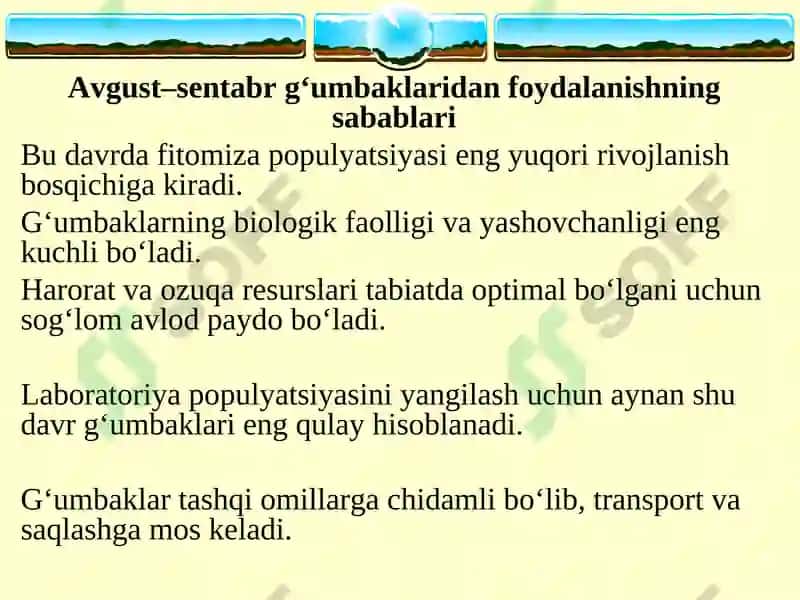 Mavzu: Fitomizani yopiq gruntda, laboratoriya sharoitida ko‘paytirish. 6
