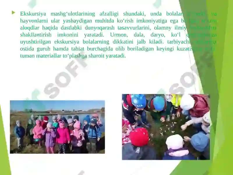 Tayyorlov Guruh Bolalarini Tabiatda Mehnatlari Tashkil Etish 6
