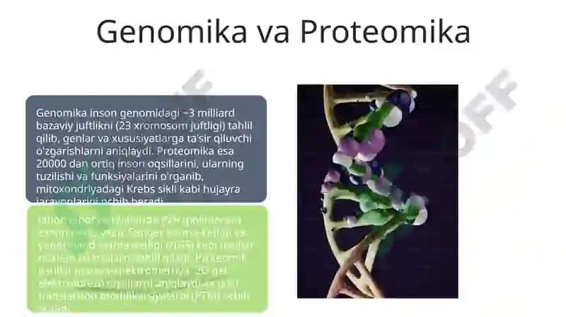 Nuklein kislotalar va irsiy belgilarining nasldan-naslga o‘tishdagi roli 7