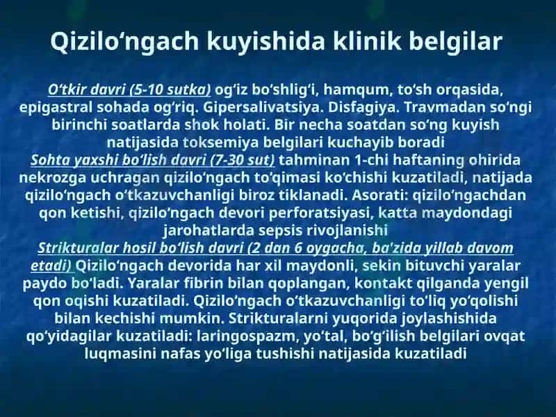 Qizilo‘ngachni ximik va termik kuyishlari 7