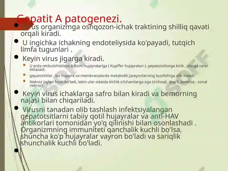 Gepatit A 7