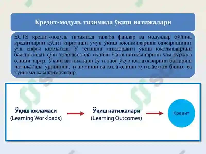 ECTS(European Credit Transfer System) 7