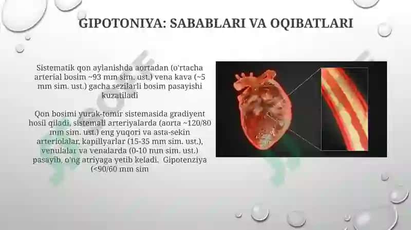 Kapillyar qon bosimi 7