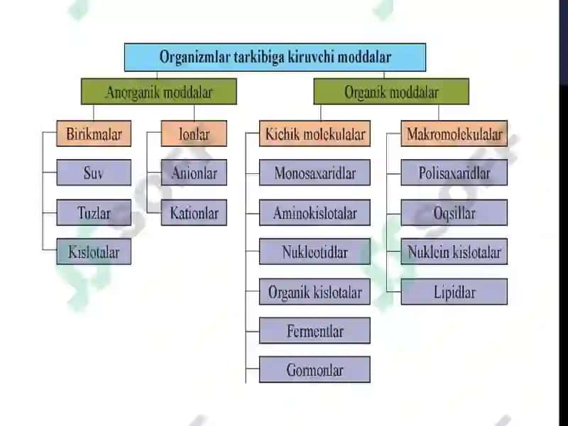 Akademik litseyni biologiya fanio’qituvchisi 7