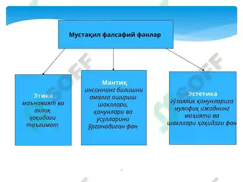 Фалсафадунёни англаш усули сифатида 7
