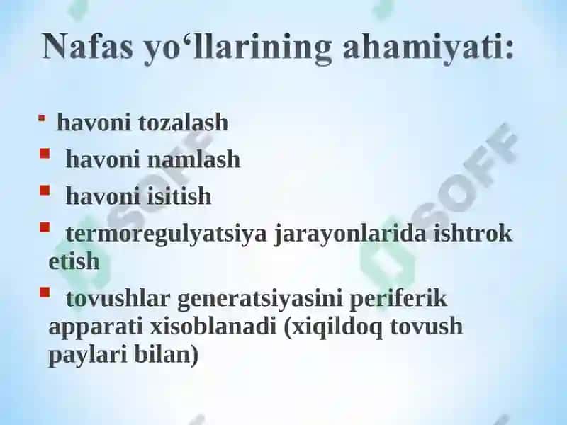 Nafas sistemasining funksional xarakteristikasi 7