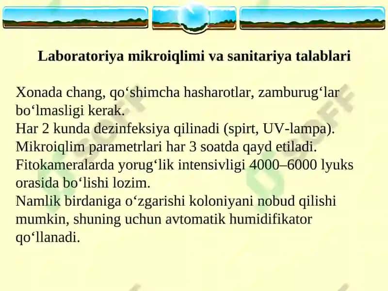 Mavzu: Fitomizani yopiq gruntda, laboratoriya sharoitida ko‘paytirish. 7